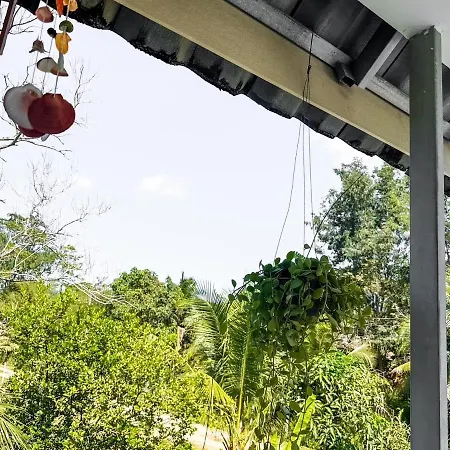 Ao Luek Homie Homestay Krabi Exterior photo