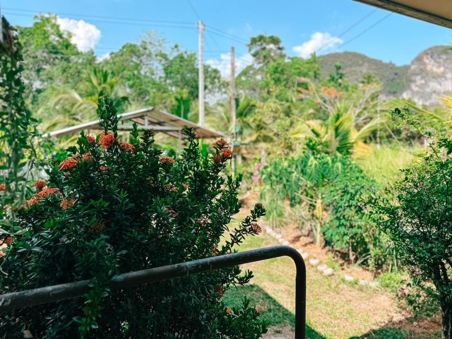 Homestay Ao Luek Homie *